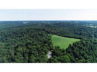 Tract 24 - Timberland & Farmland in Noble County, OH - LAND AUCTION - 12,200+/- ACRES OFFERED IN 65 TRACTS IN NOBLE COUNTY, OHIO